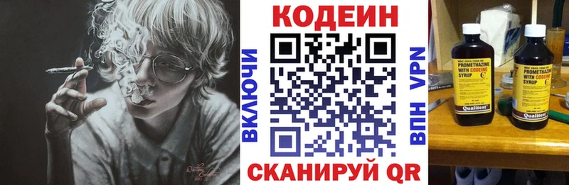 Купить Камышин Codein Purple Drank