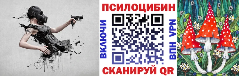 Псилоцибиновые грибы ЛСД  Купить закладки  Камышин 